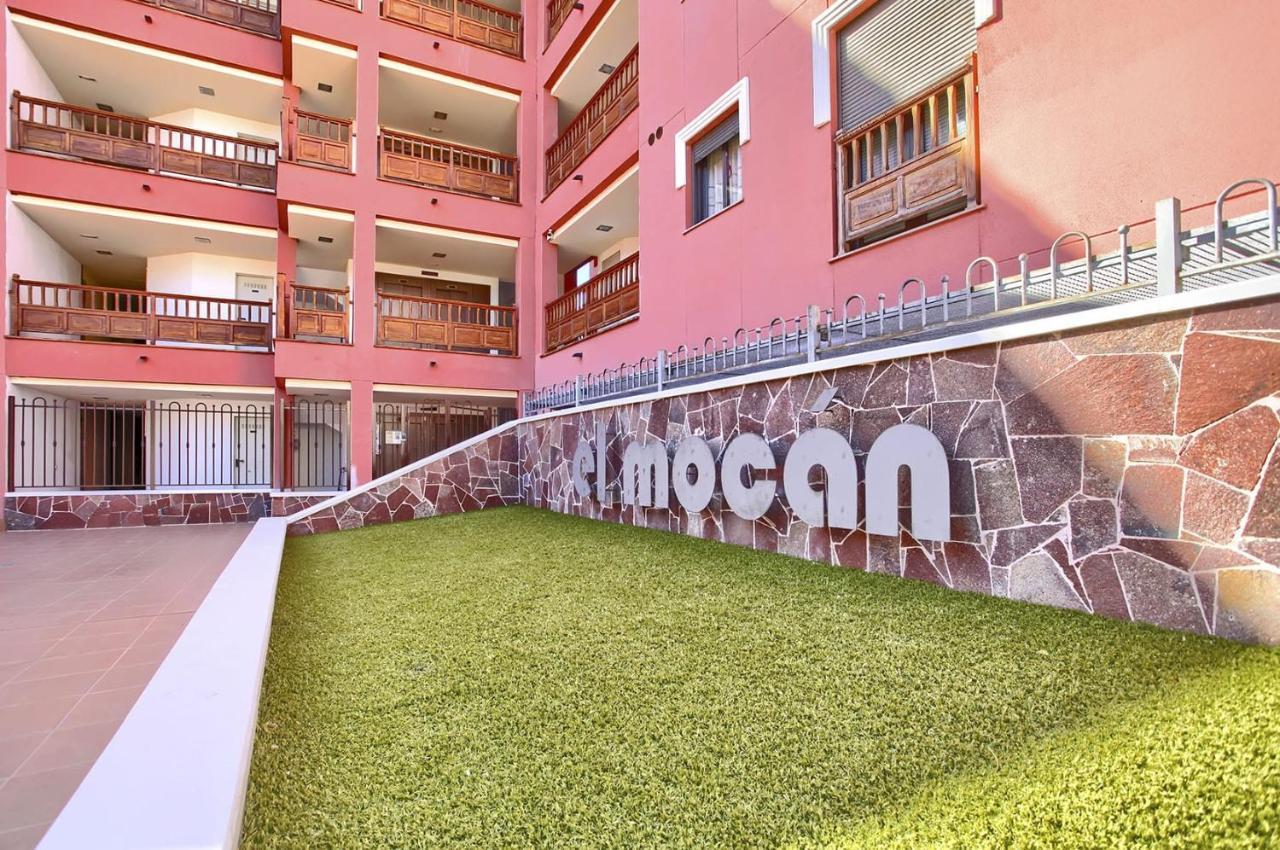 El Mocan De Thiago Palm Mar アロナ エクステリア 写真